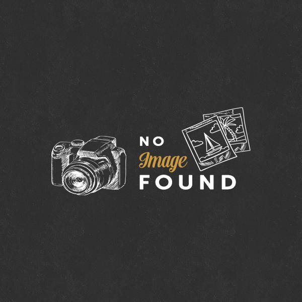 Лучшие брокеры форекс в Беларуси 2025